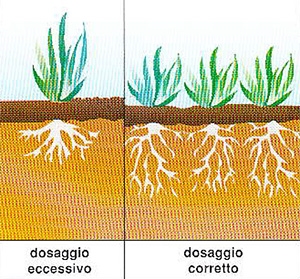concimazioni